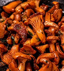 Fried Chanterelles